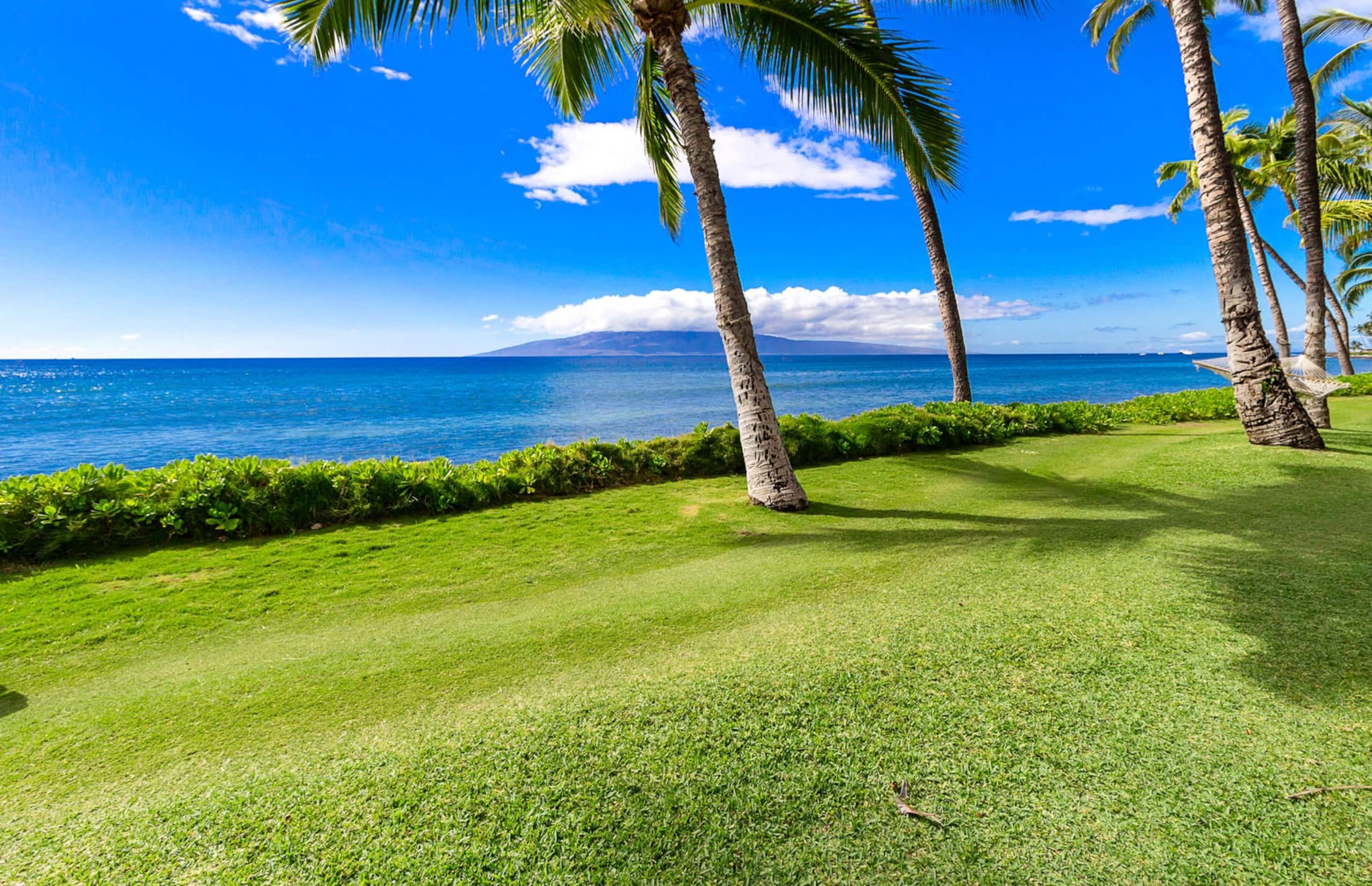 Home in Lahaina · ★5.0 · 3 bedrooms · 4 beds · 4 shared baths - Image 108