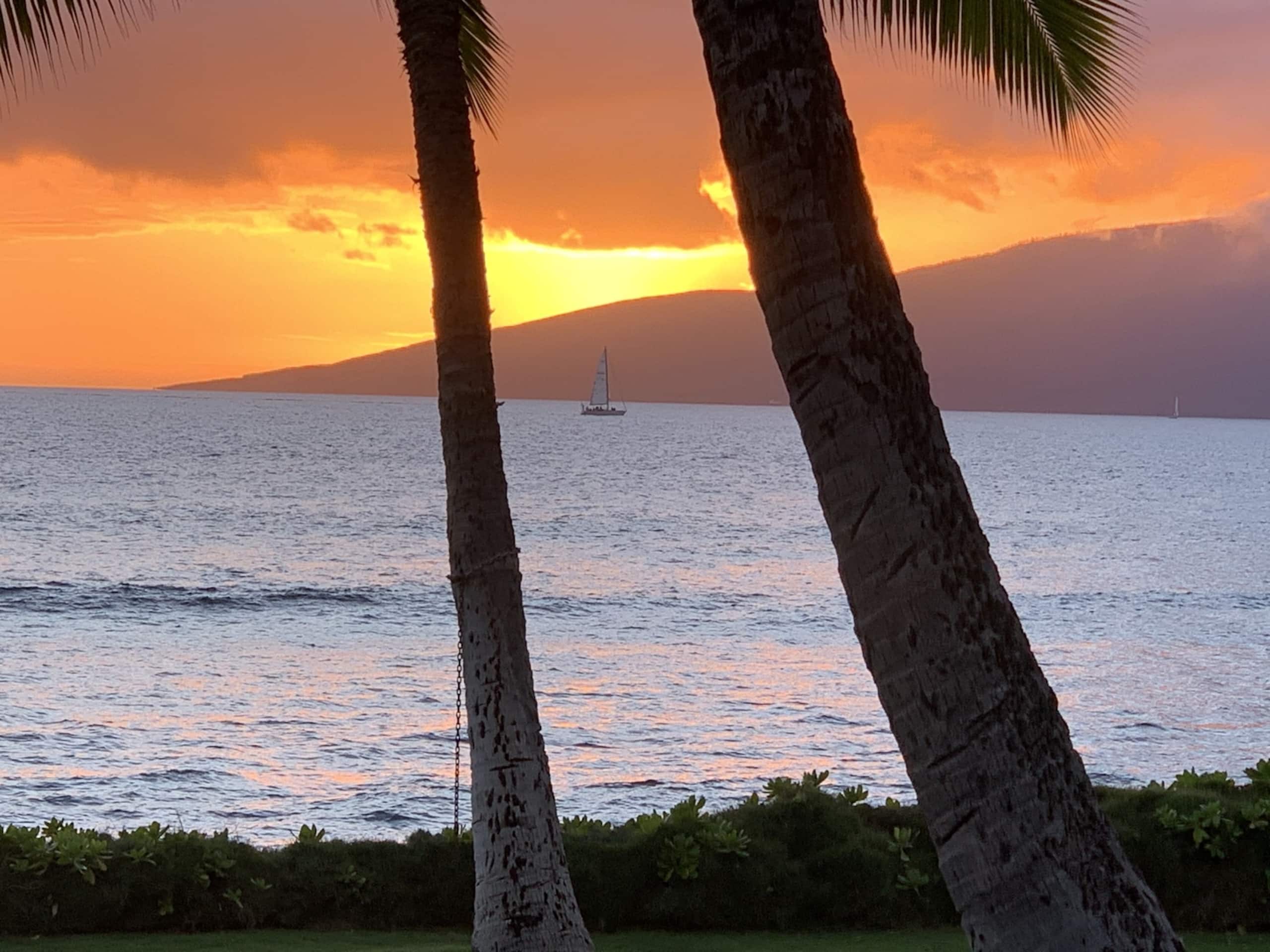 Home in Lahaina · ★5.0 · 3 bedrooms · 4 beds · 4 shared baths - Image 125