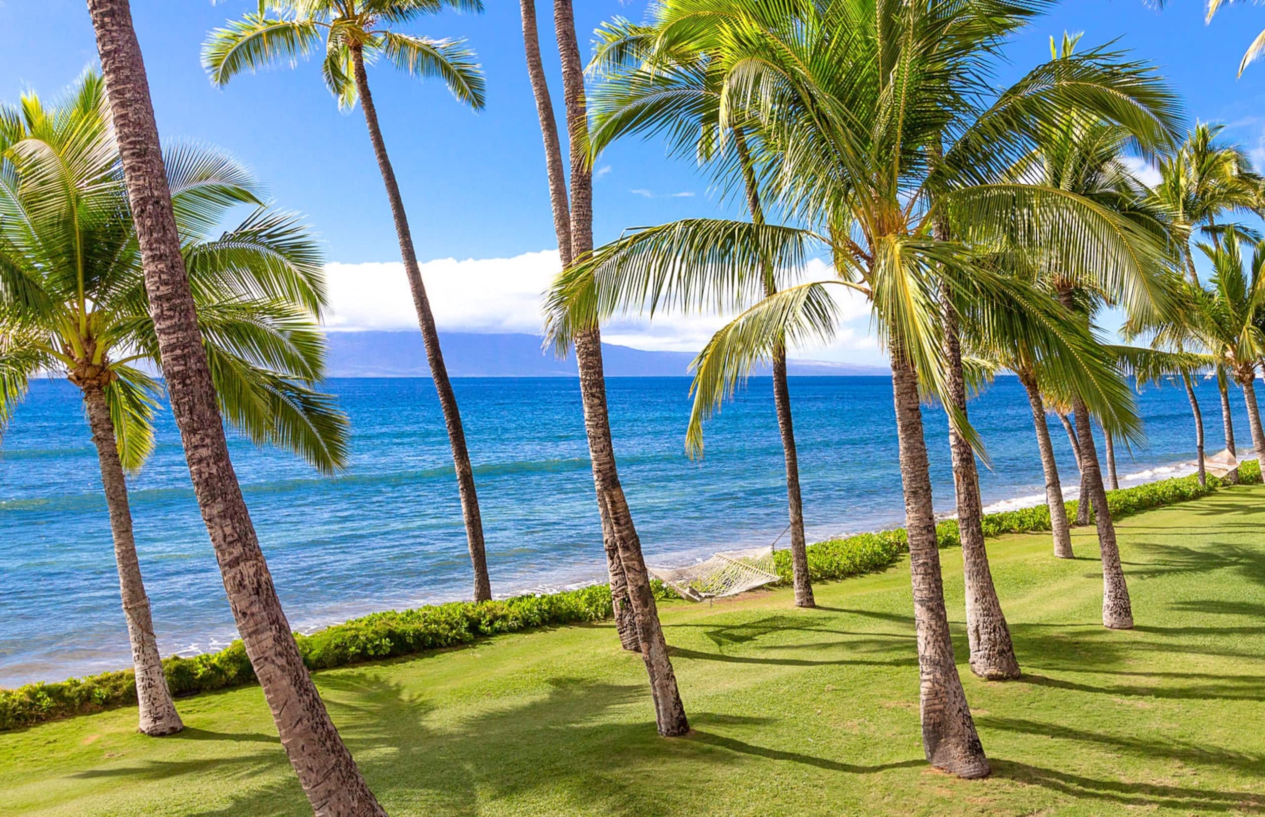 Home in Lahaina · ★5.0 · 3 bedrooms · 4 beds · 4 shared baths - Image 112