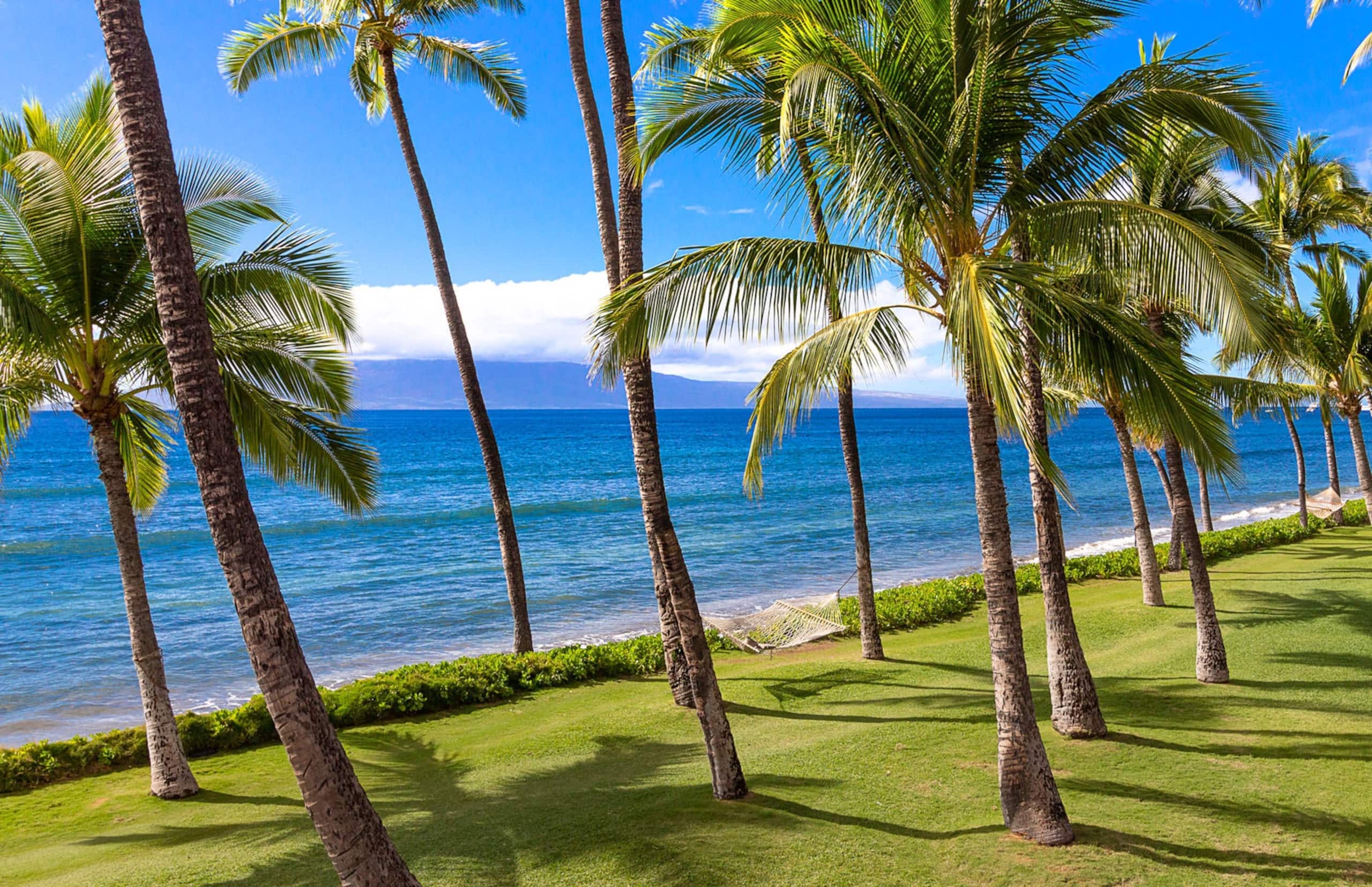 Home in Lahaina · ★5.0 · 3 bedrooms · 4 beds · 4 shared baths - Image 113