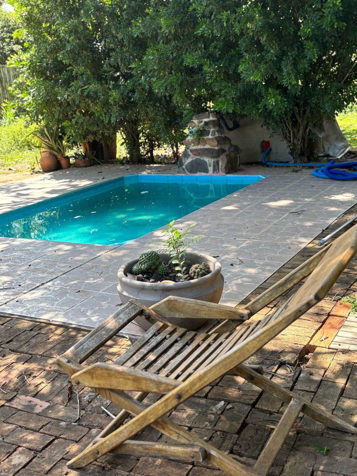 A small, tranquil pool is nestled amid lush greenery, surrounded by a stone patio. A wooden lounge chair offers a place to relax, while a pot of succulents adds a touch of nature. Sunlight reflects off the water, enhancing the serene atmosphere.