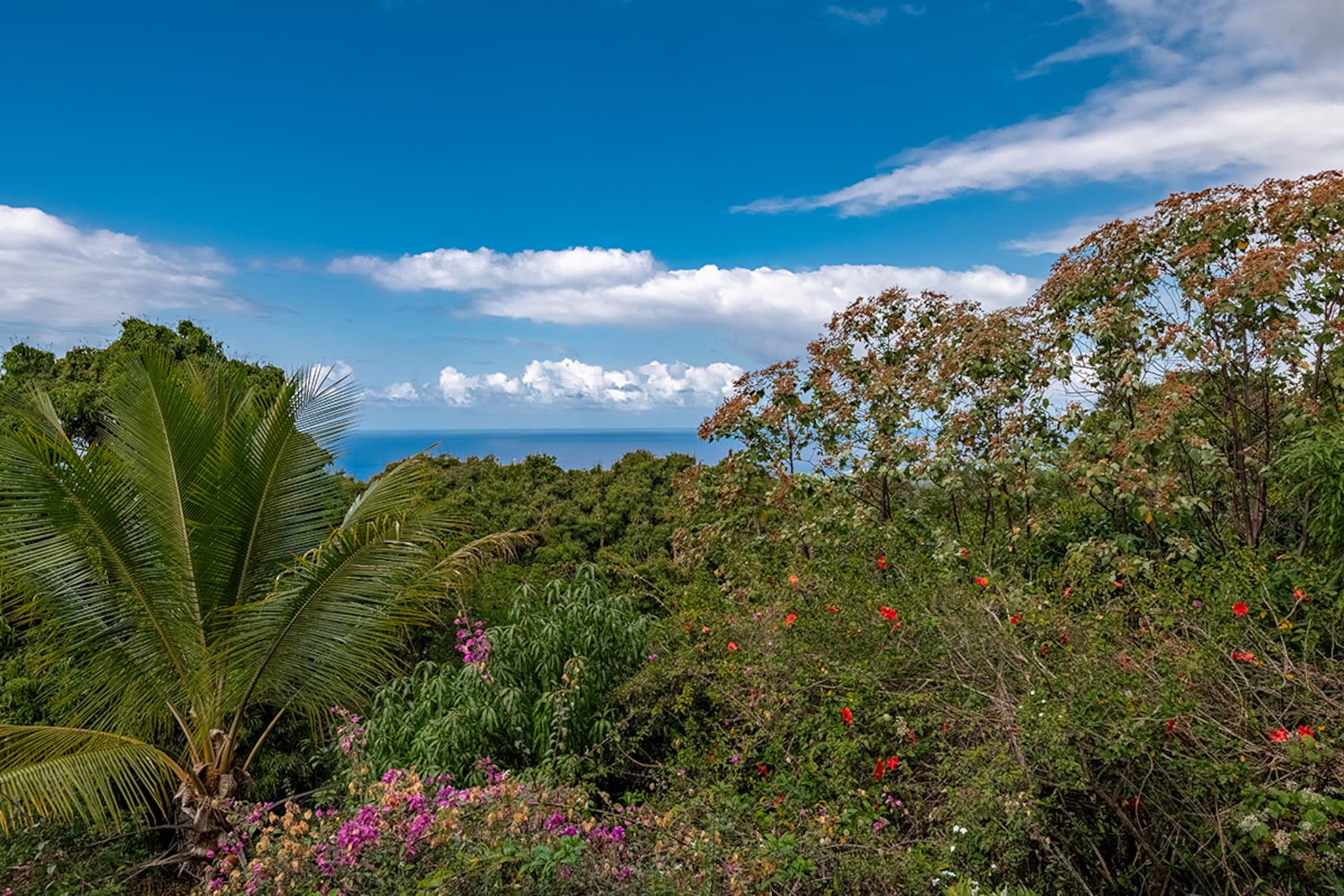 Guesthouse in Captain Cook · ★4.94 · 1 bedroom · 2 beds · 1 private bath - Image 16
