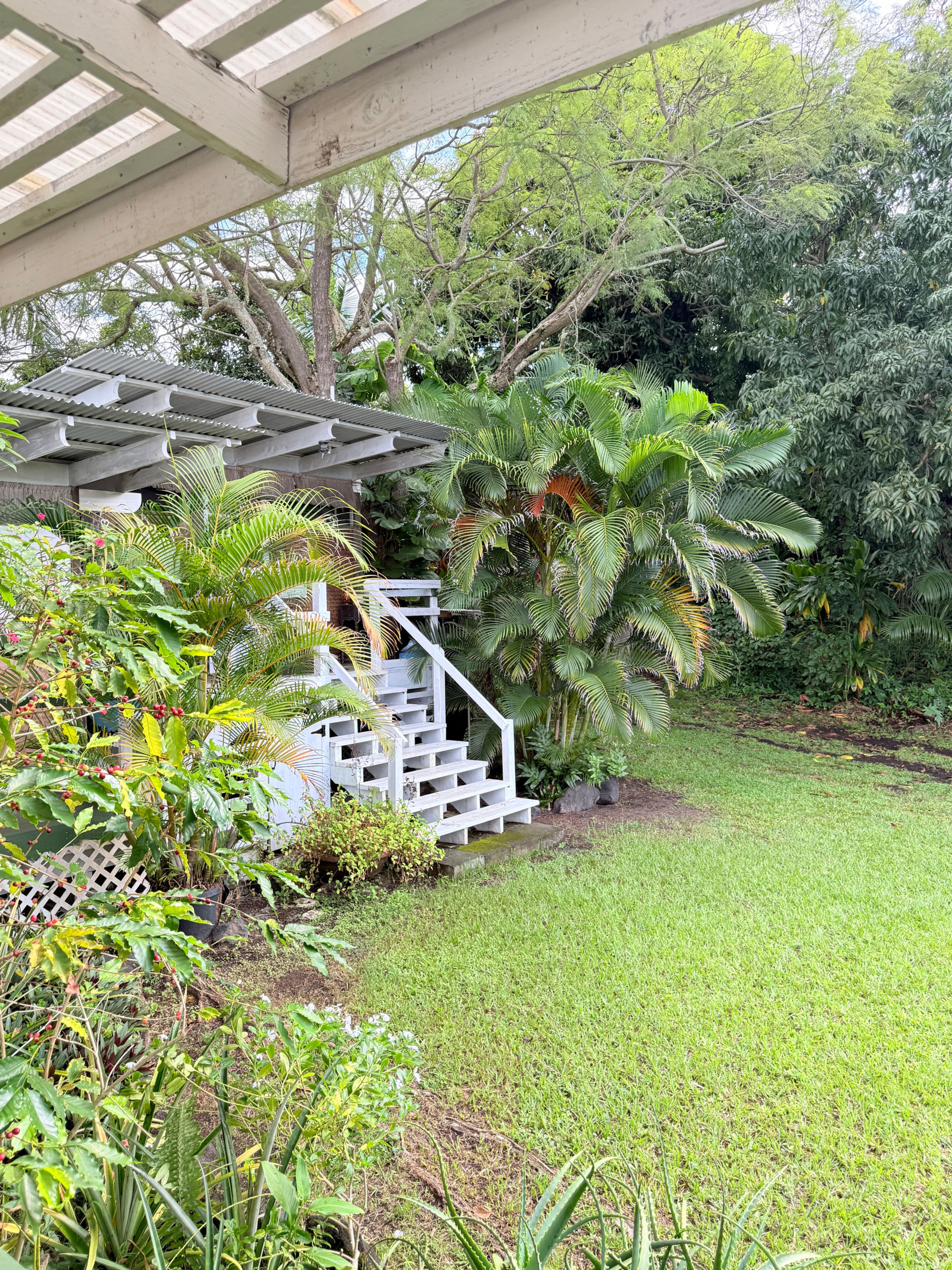 Guesthouse in Captain Cook · ★4.94 · 1 bedroom · 2 beds · 1 private bath - Image 26