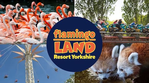 Cosy Cottage in Yorkshire's Most beautiful Village