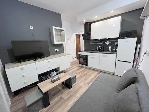 Apartment near the Castle