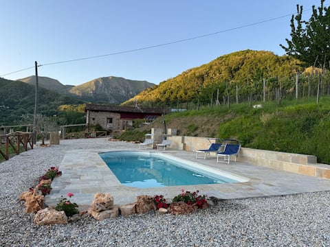 Tuscan Farmhouse rental, 10m x 4m pool not shared