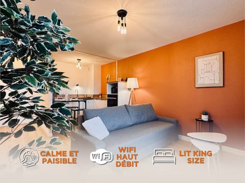 Appartement Graulhet