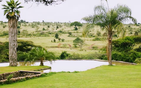 Kampi ya Karin - Nairobi National Park