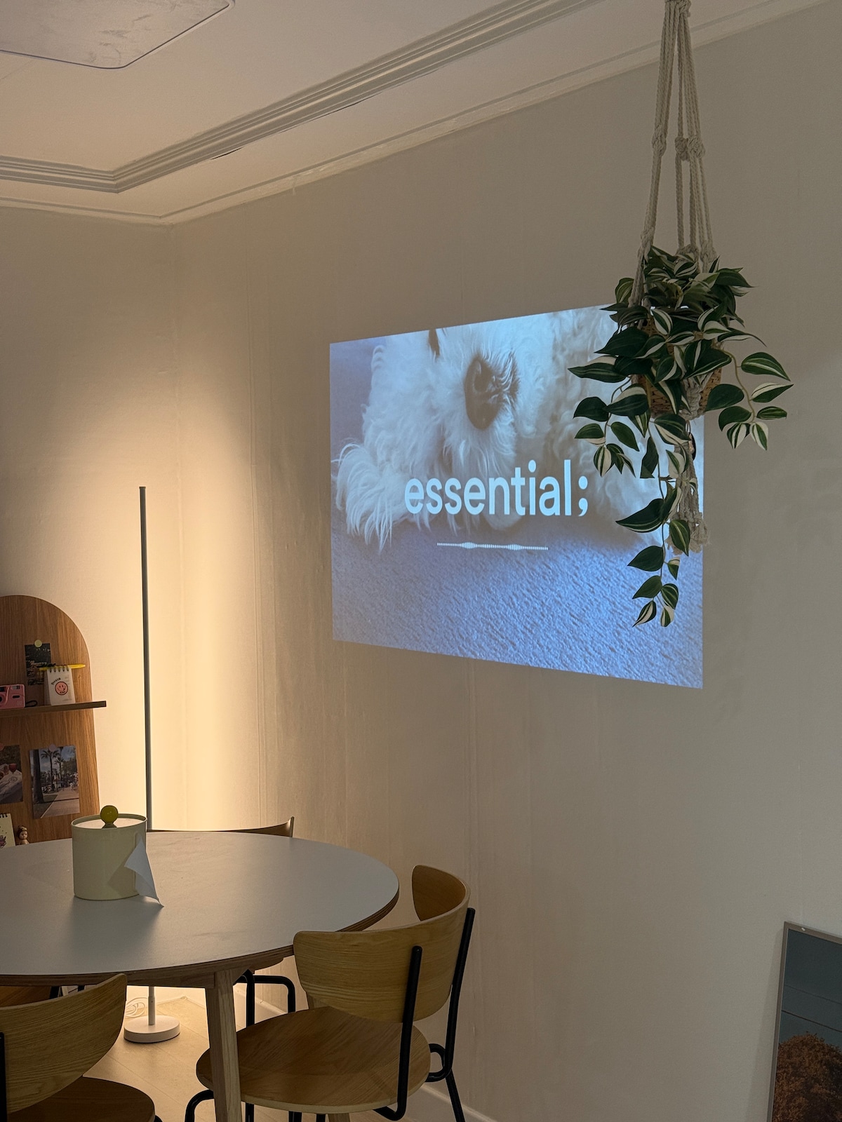 A spacious dining area is highlighted by a beam projector displaying a soft image on a neutral wall. A potted plant hangs above a round table surrounded by wooden chairs, contributing to the room's calming atmosphere.