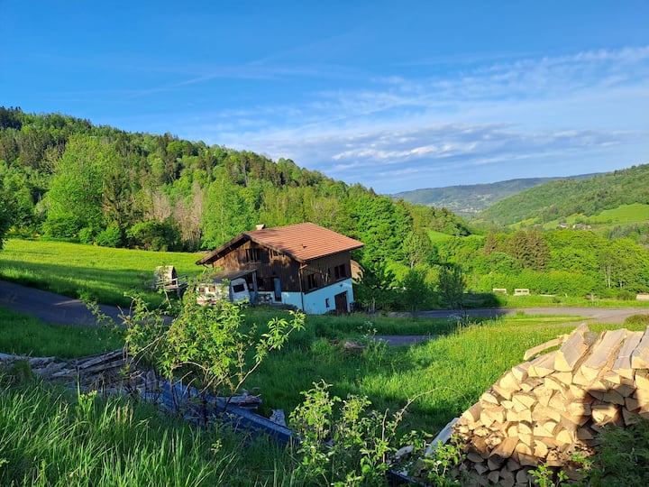 Chalet En Pleine Nature Vosges - Vosges