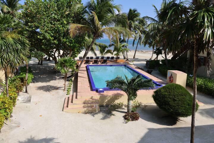 Gorgeous Oceanfront 3 BR/3 BA Villa w/Pool gallery image 3