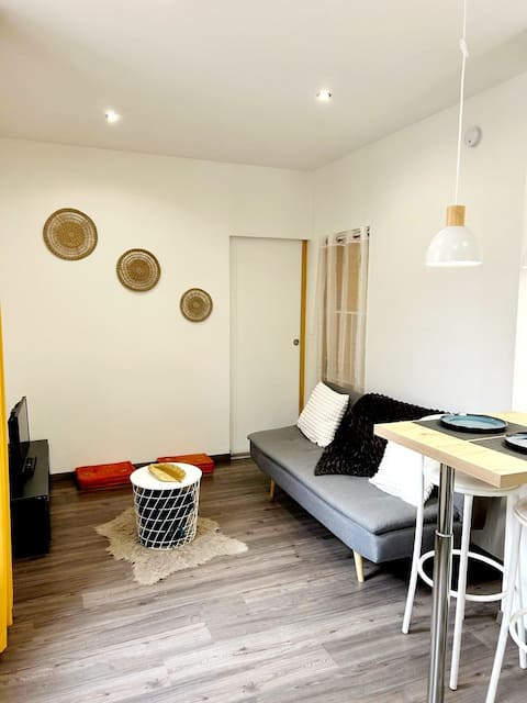 Top performing Airbnb: Charming apartment in the city center in Faubourg Raines