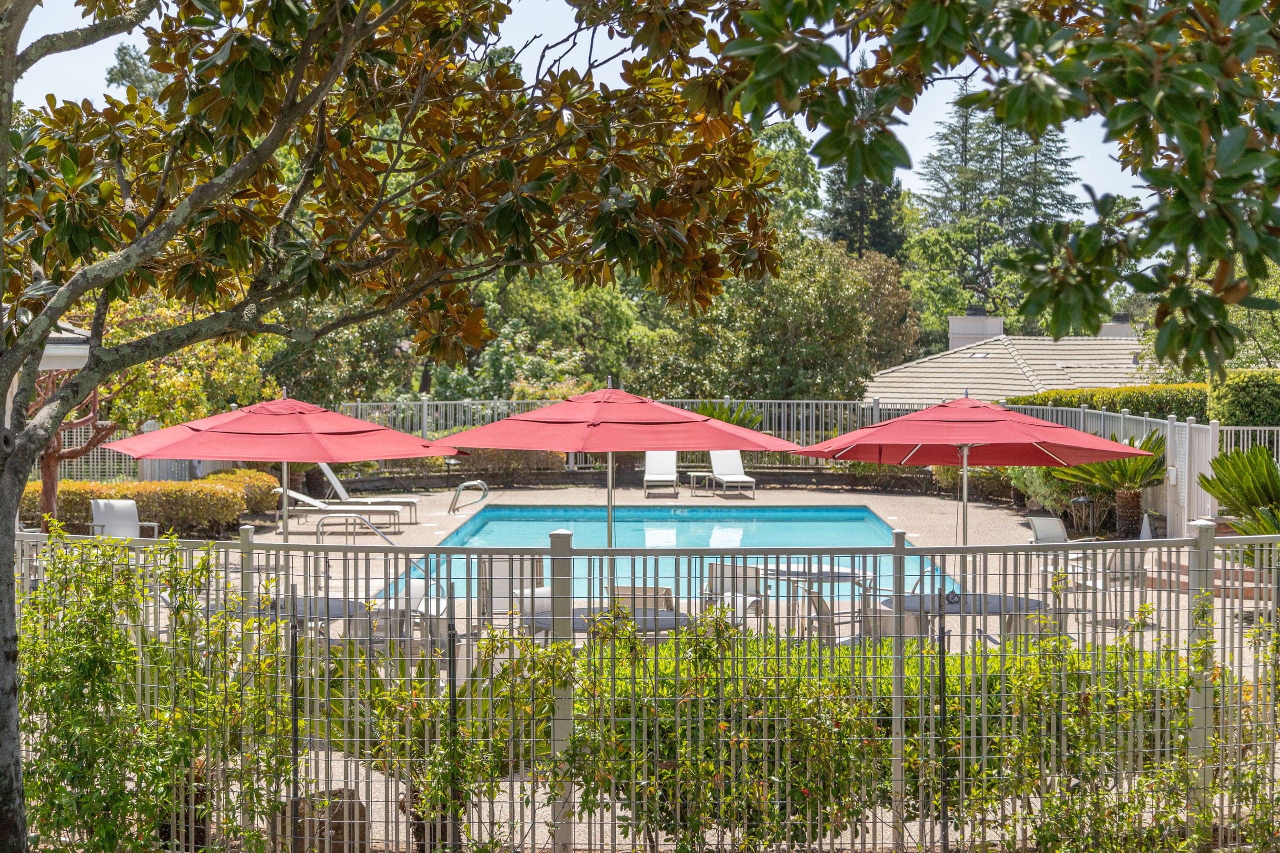 Silverado Napa Retreat Views & Resort Pool - Photo 72