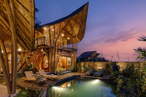 Natural Eco 2BR Bamboo Villa with Ricefield View