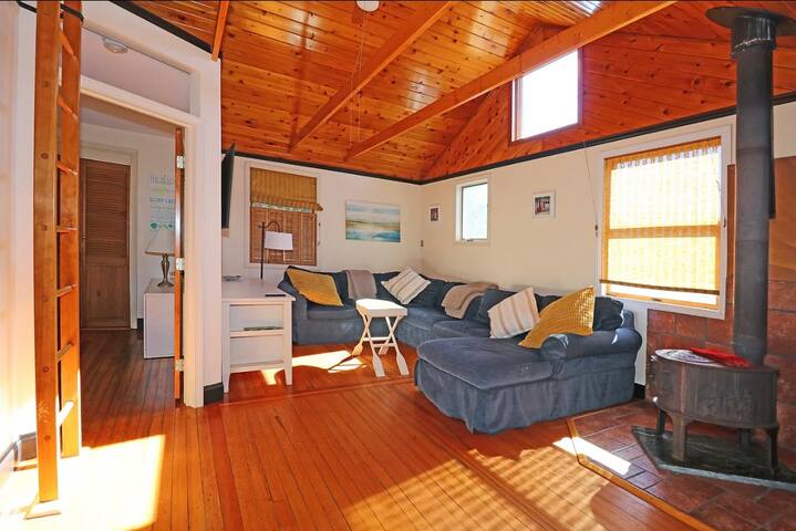 Driftwood Dreaming gallery image 2