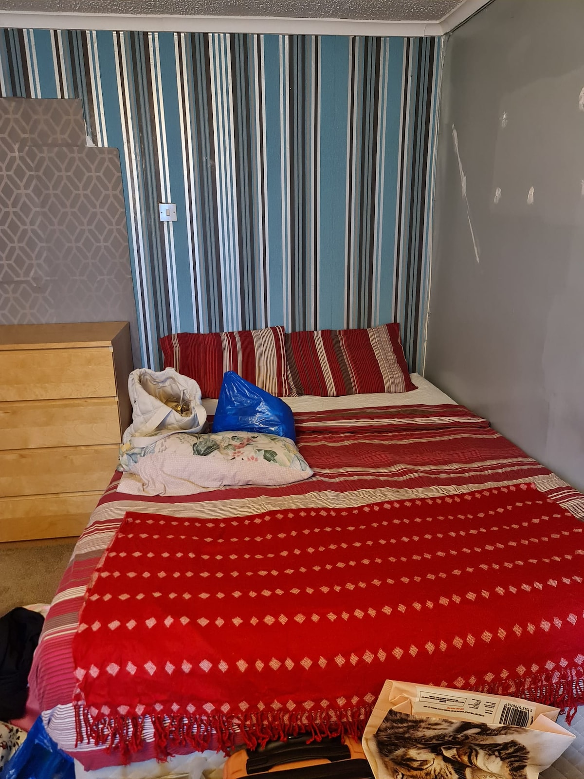 A spacious sleeping area features a bed dressed with a vibrant red blanket and decorative pillows. The walls are adorned with striped wallpaper, while a wooden chest of drawers stands nearby, providing additional storage.