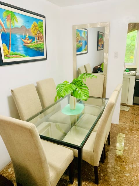 A's Place - Large, 2 Bedroom Close to the Airport!