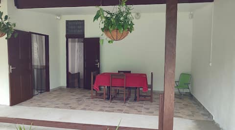 "The mango garden"
(T1)