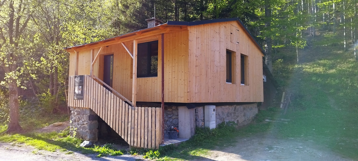 The exterior of the accommodation is characterized by a modern wooden facade, featuring large windows that allow natural light to enter. A sloped ramp leads up to the entrance, providing accessibility. Surrounding greenery and trees enhance the tranquil setting.