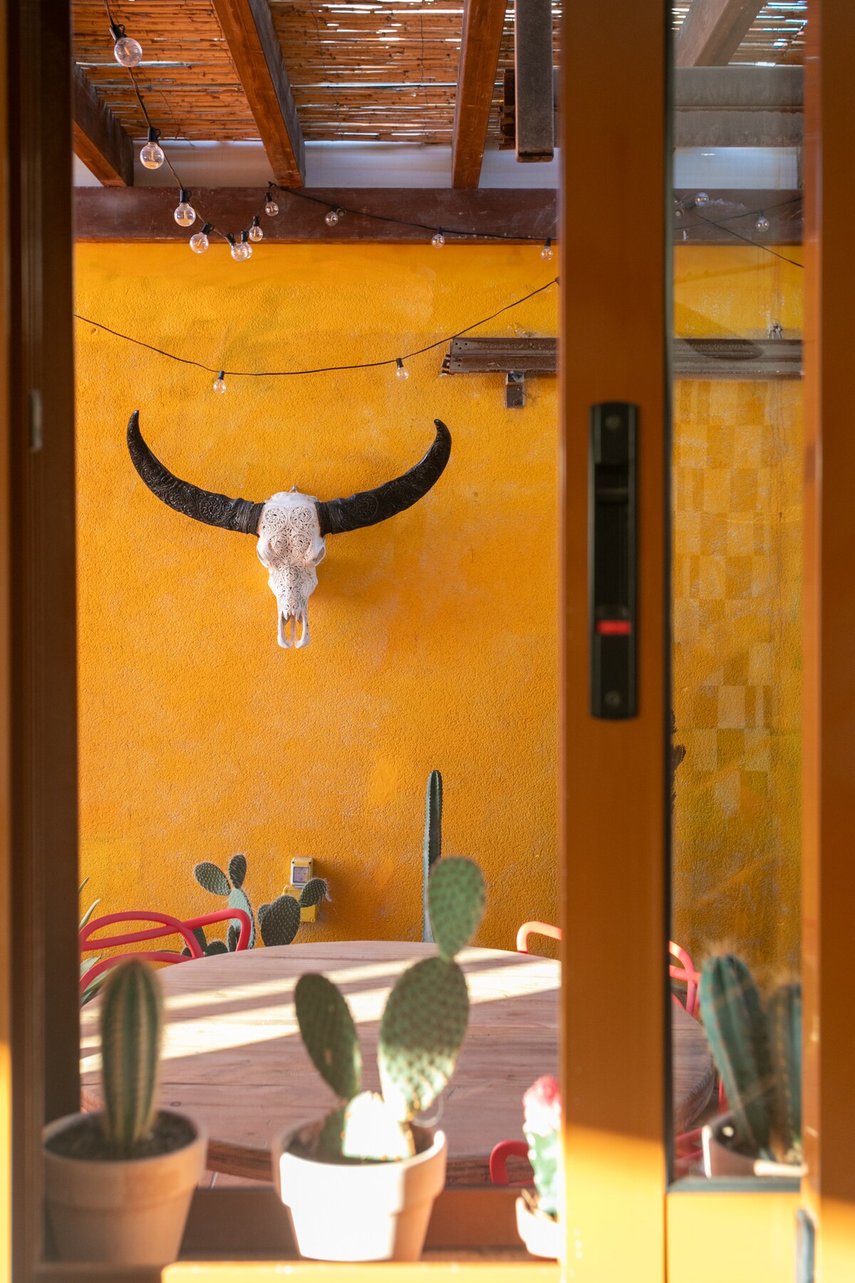 A view through wooden doors features a vibrant yellow wall, accented by a bull's skull and decorative string lights. A circular table is positioned in the foreground, surrounded by potted cacti, creating an engaging outdoor dining atmosphere.