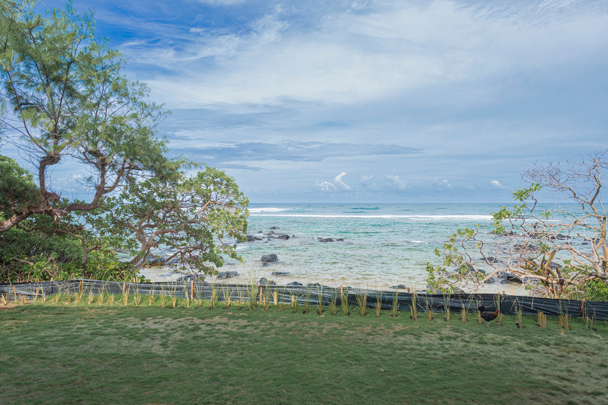 Home in Anahola · ★4.92 · 3 bedrooms · 5 beds · 3.5 private baths - Image 48