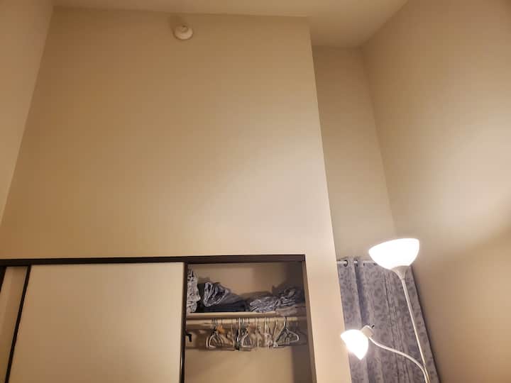 very high ceilings make this room one of a kind!