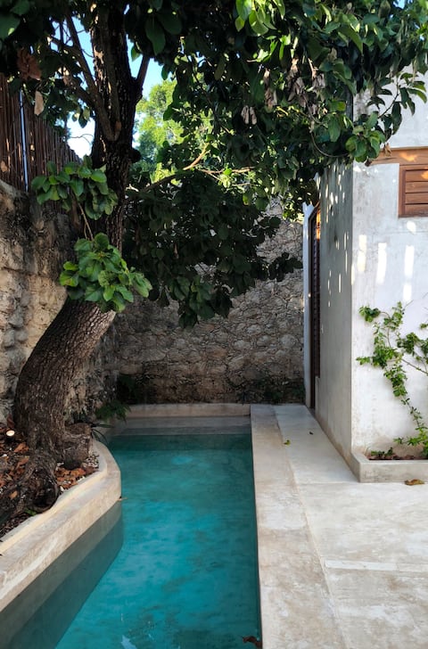 Casa Polaris - Old house in the heart of Espita