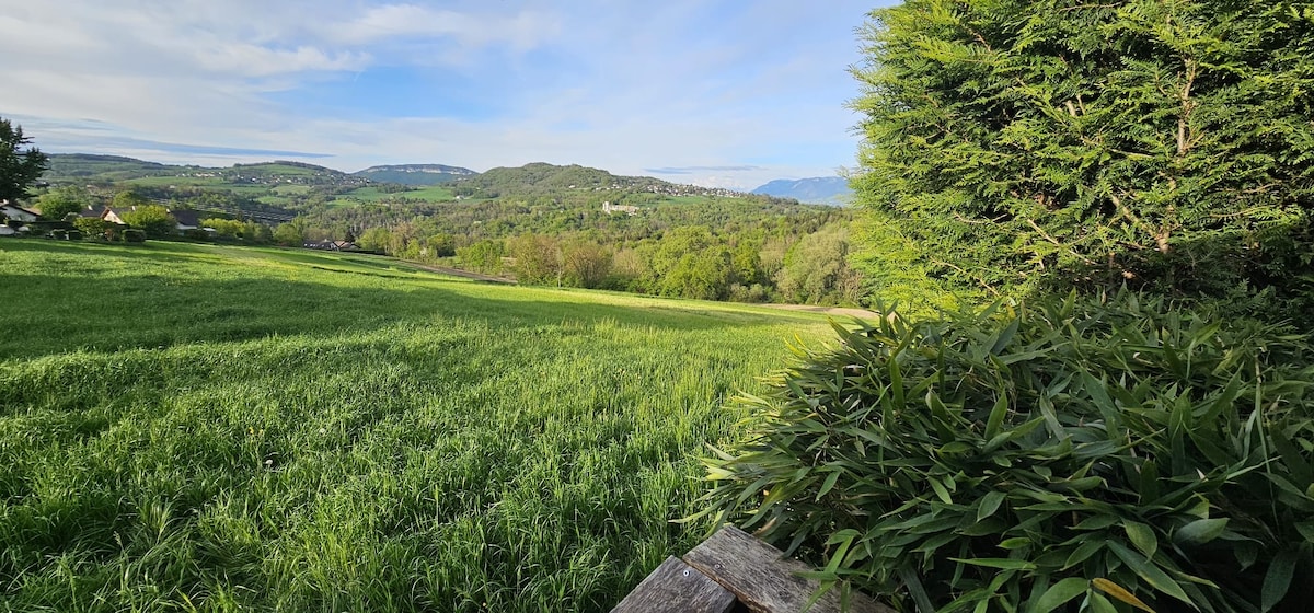 A scenic view of lush green fields is presented, bordered by trees and rolling hills. Soft blue skies with wispy clouds are visible in the background, indicating a calm atmosphere. The foreground features a well-maintained hedge, adding to the serene countryside setting.