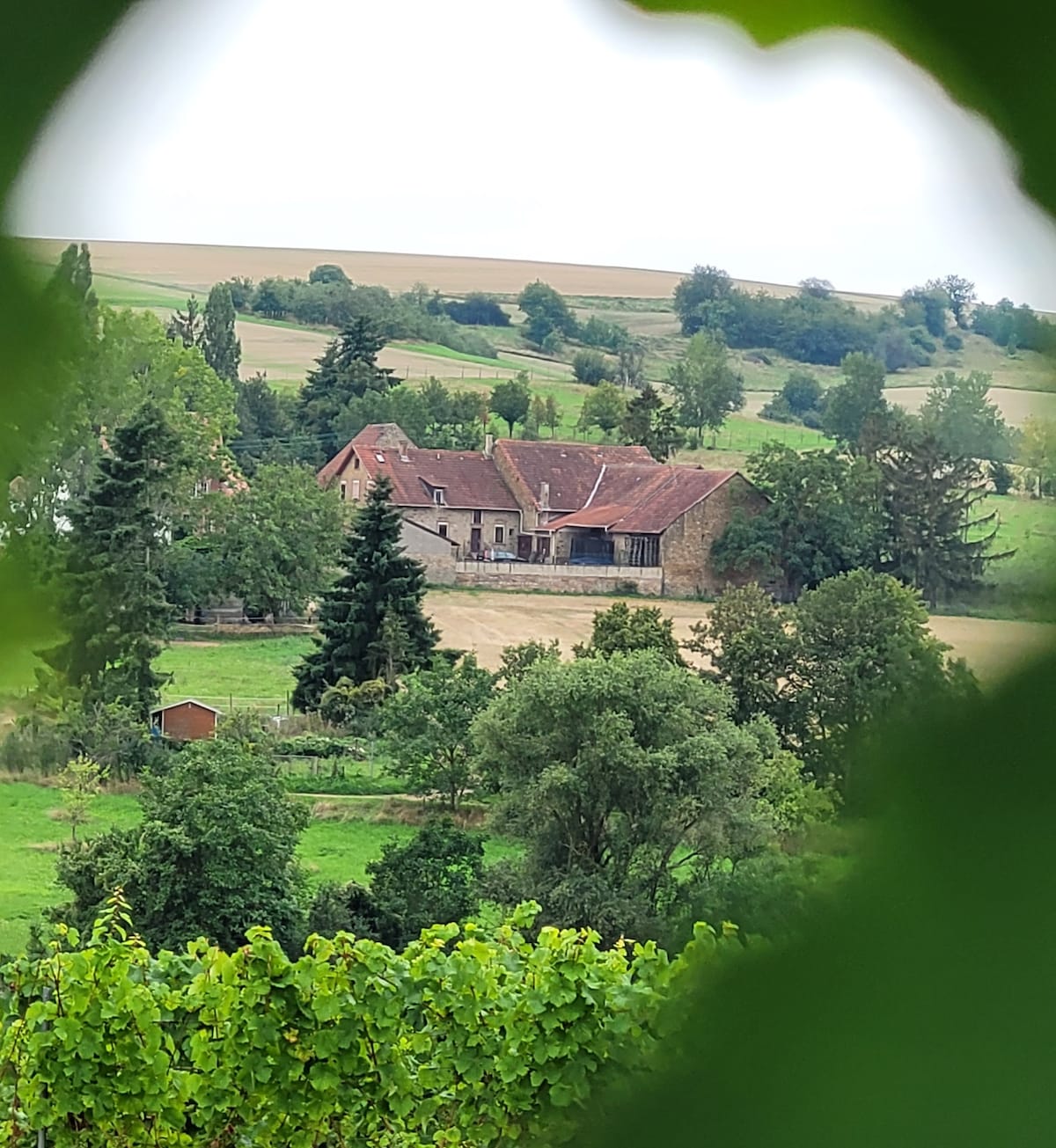 A charming farmhouse is nestled among lush greenery, viewed through a leafy frame. The structure features a pitched roof and is surrounded by gentle hills and trees, emphasizing its serene countryside setting.