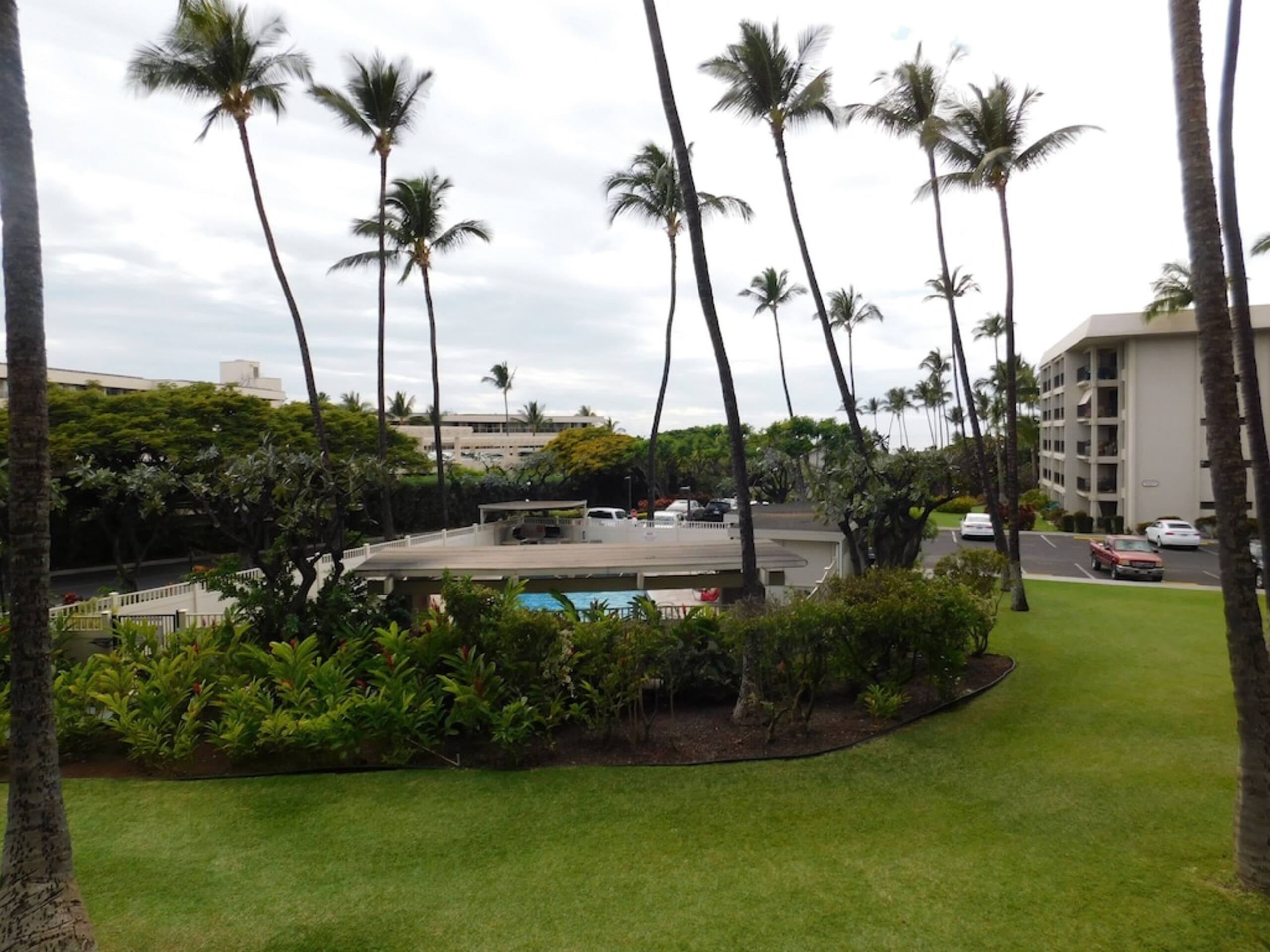 Catch our summer special on Maui! - Image 15