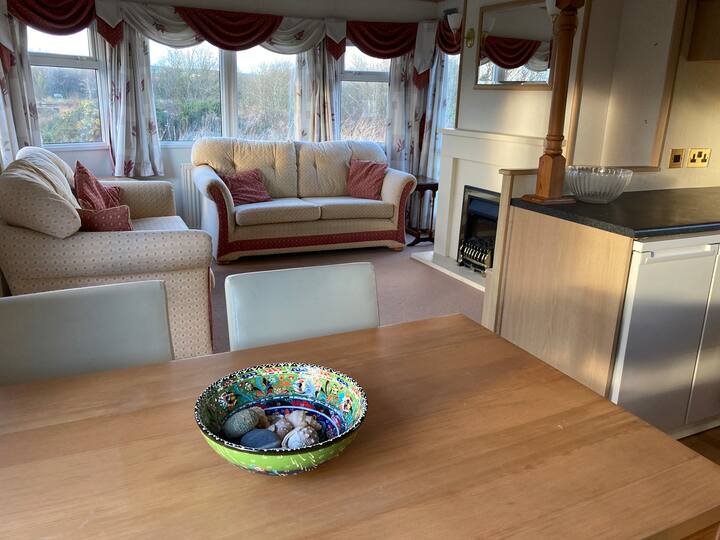 Willow.   Static Caravan - Fishguard