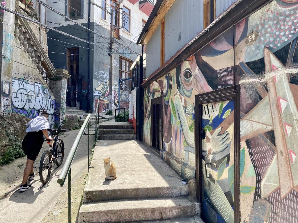 A narrow pathway is flanked by vibrant street art, showcasing colorful murals on adjoining walls. A person is seen maneuvering a bicycle, while a cat rests on the concrete ledge. The setting reflects the artistic spirit of Valparaíso, with stairs leading to iconic architecture.