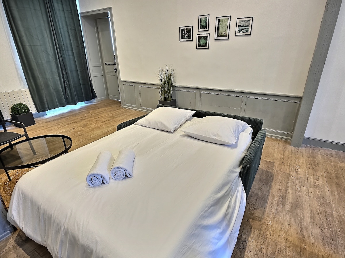 Annonce Airbnb populaire: Bagnères • 2-bedroom · Bright 2-bedroom, Spacious, Downtown à Bagnères De Bigorre