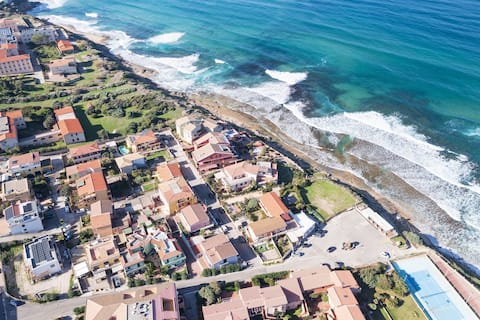 Elicriso mare, 50 meters from the sea