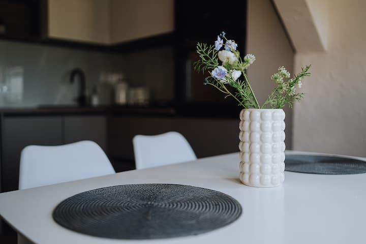 Pet-friendly 1br In Downtown – Ac & Dishwasher - Chișinău