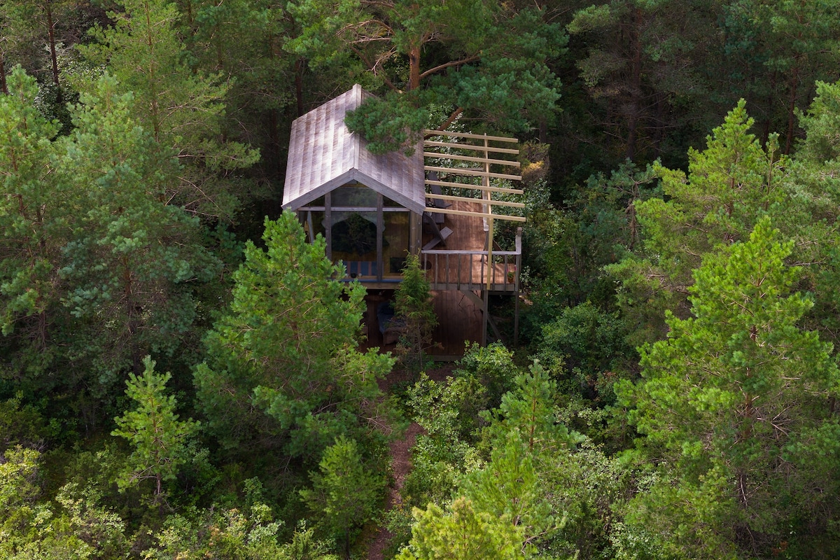 A modern wooden cabin is nestled among lush green trees, surrounded by a dense forest. The cabin features a spacious deck extending partially outwards, offering a view of the surrounding nature. Natural elements seamlessly blend with the structure, creating a tranquil environment.