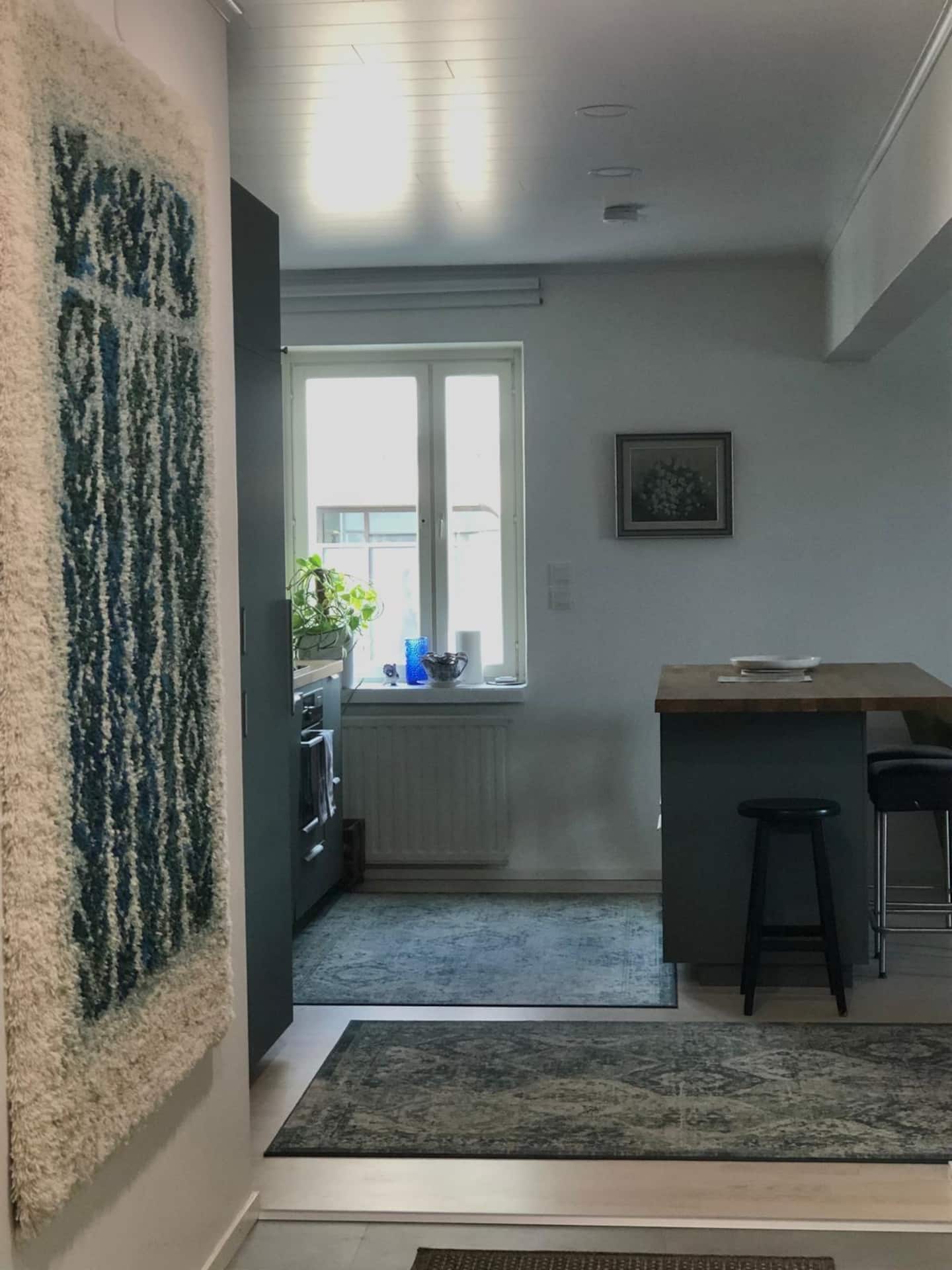 Kotoisa Ja Tyylikäs Keskustakolmio (70m2) 4