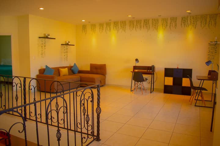 Salle spacieuse et lumineuse, avec un canapé-lit élégant qui offre un confort pendant la journée et une fonctionnalité supplémentaire pour accueillir vos invités