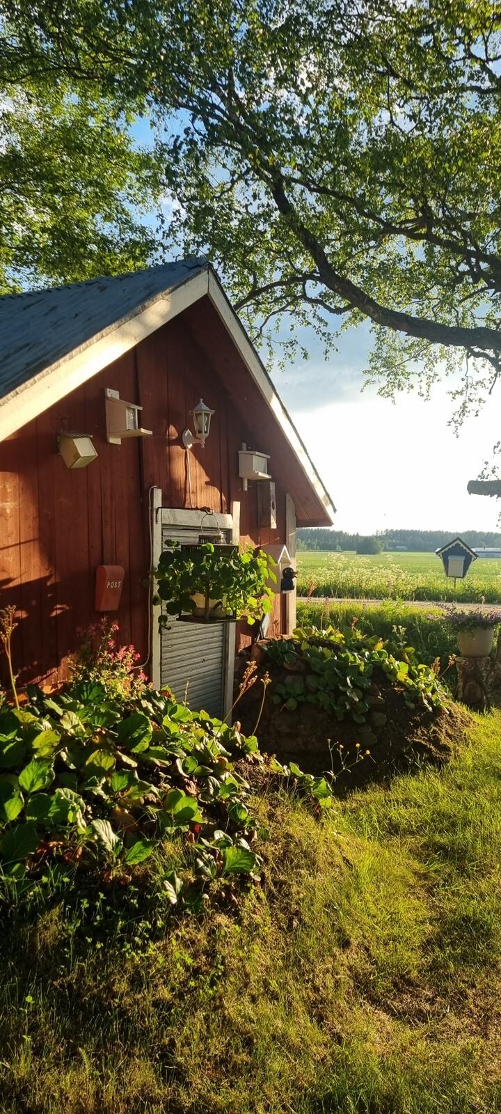 The exterior of a charming red cabin is visible, framed by lush greenery and flowers. The rustic structure features traditional elements such as a sloped roof and decorative lanterns. A serene field can be seen in the background, bathed in warm sunlight.