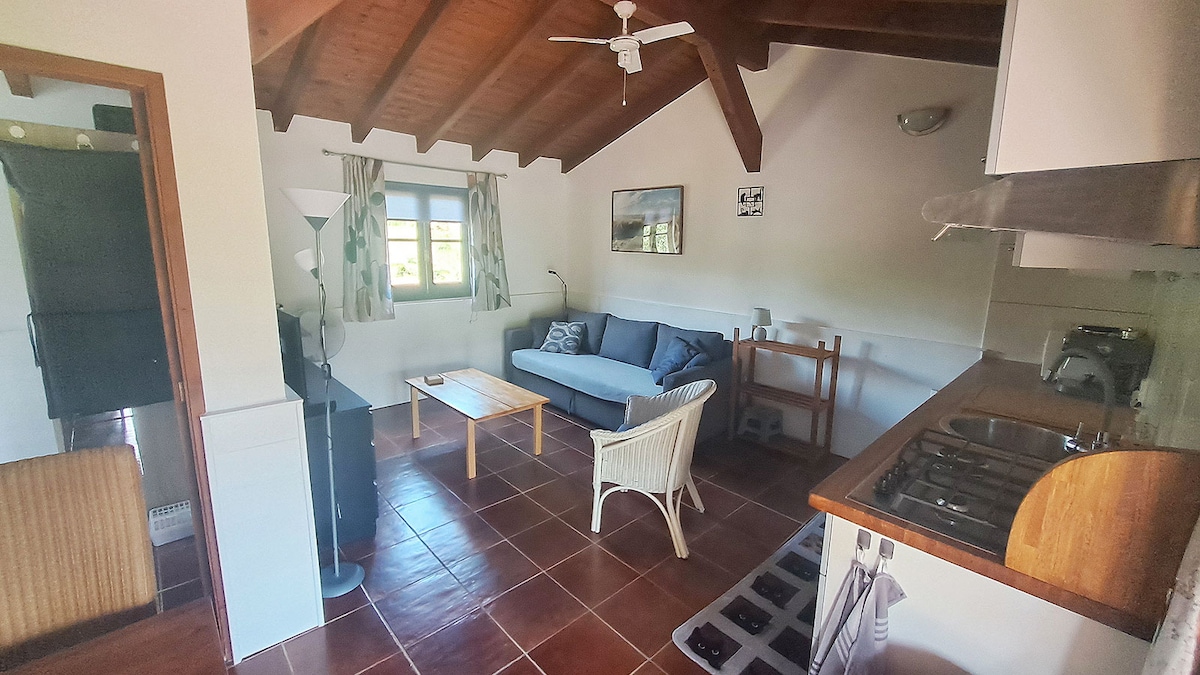 Sala de estar/cozinha com sofá-cama