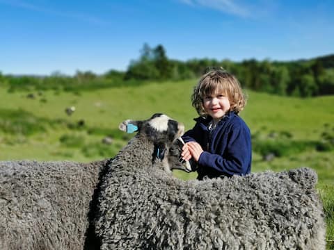 Family Farm. Child friendly, green and beautiful.