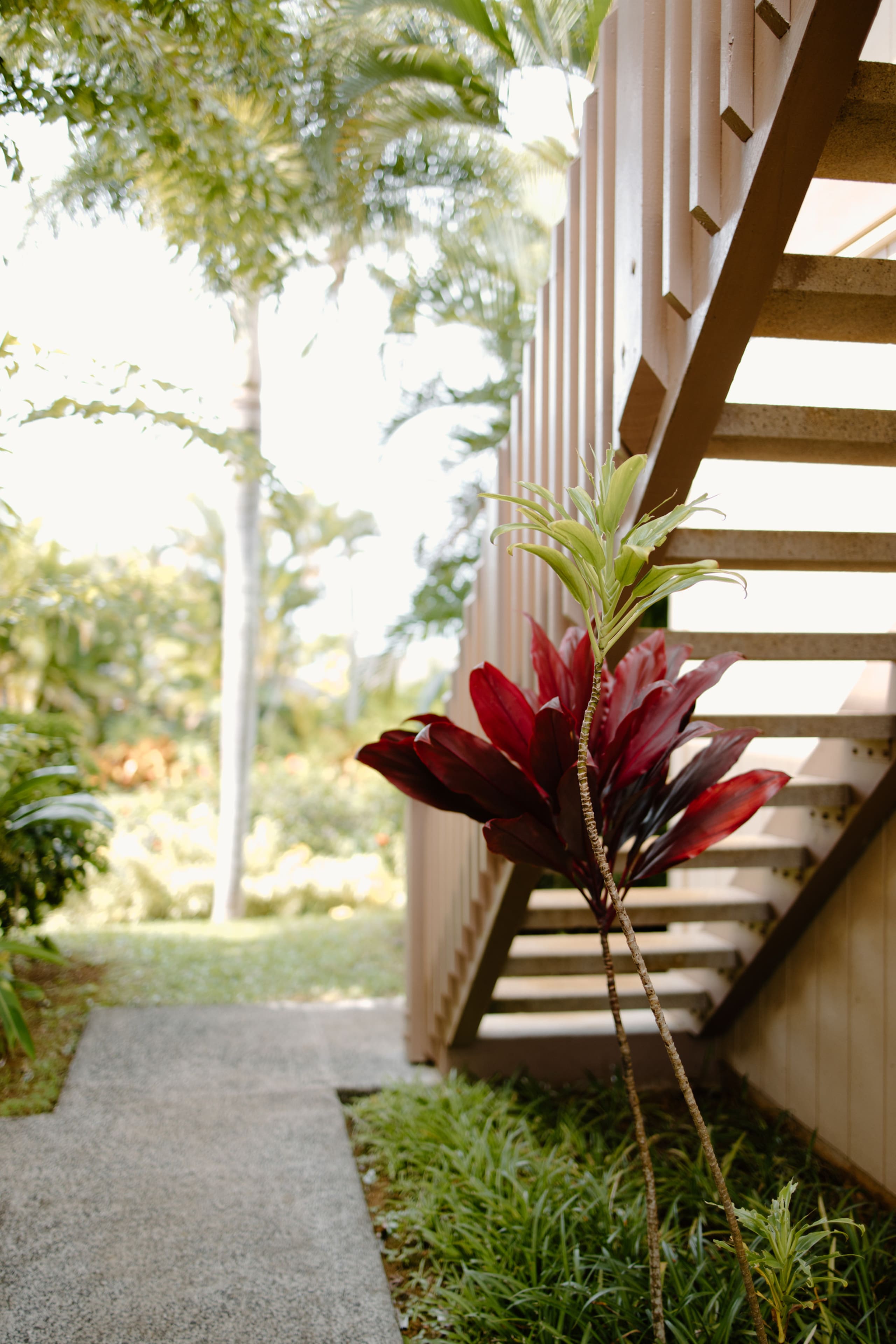 Jungle Bungalow - Princeville, Kauai - Photo 19