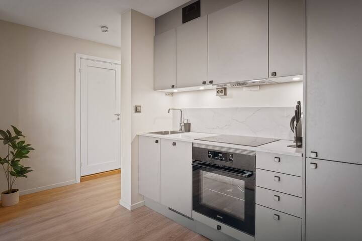 2BR apartment in the heart of Oslo: modern/central gallery image 5