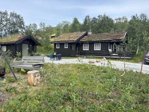 Cozy mountain cabin on Filefjell