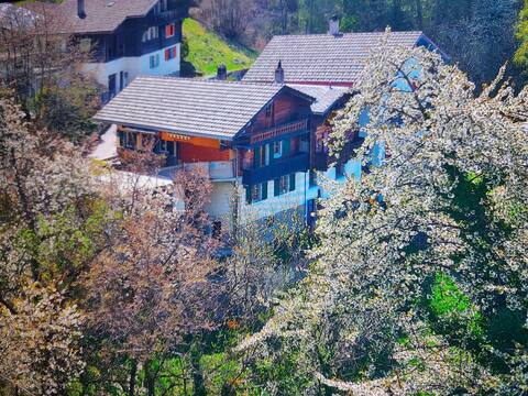 A breath of fresh air!