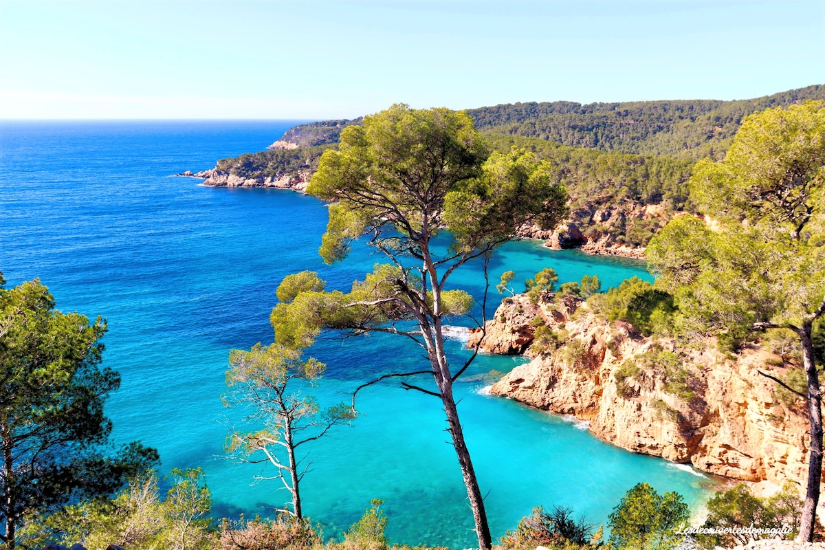 A serene coastal landscape features a rocky shoreline adorned with lush green trees. The vibrant blue water gently meets the earth, creating a peaceful atmosphere with distant hills and a clear sky visible in the background.