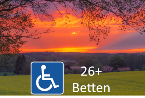 Groups, parties, conferences - 26+, wheelchair, garden: WOW