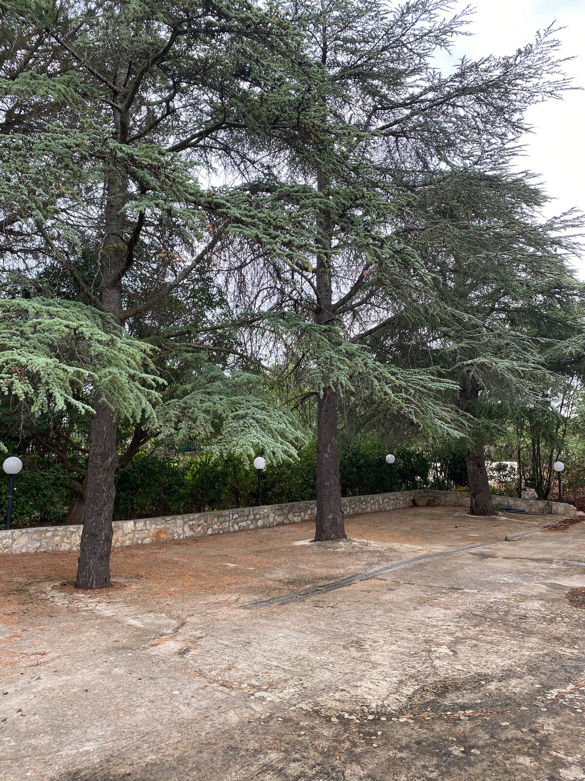 Il Villone nel Bosco — 72