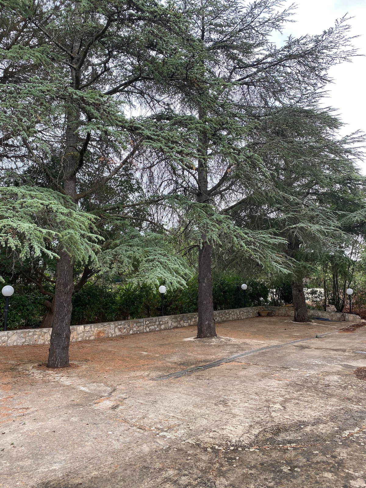 Il Villone nel Bosco — 70