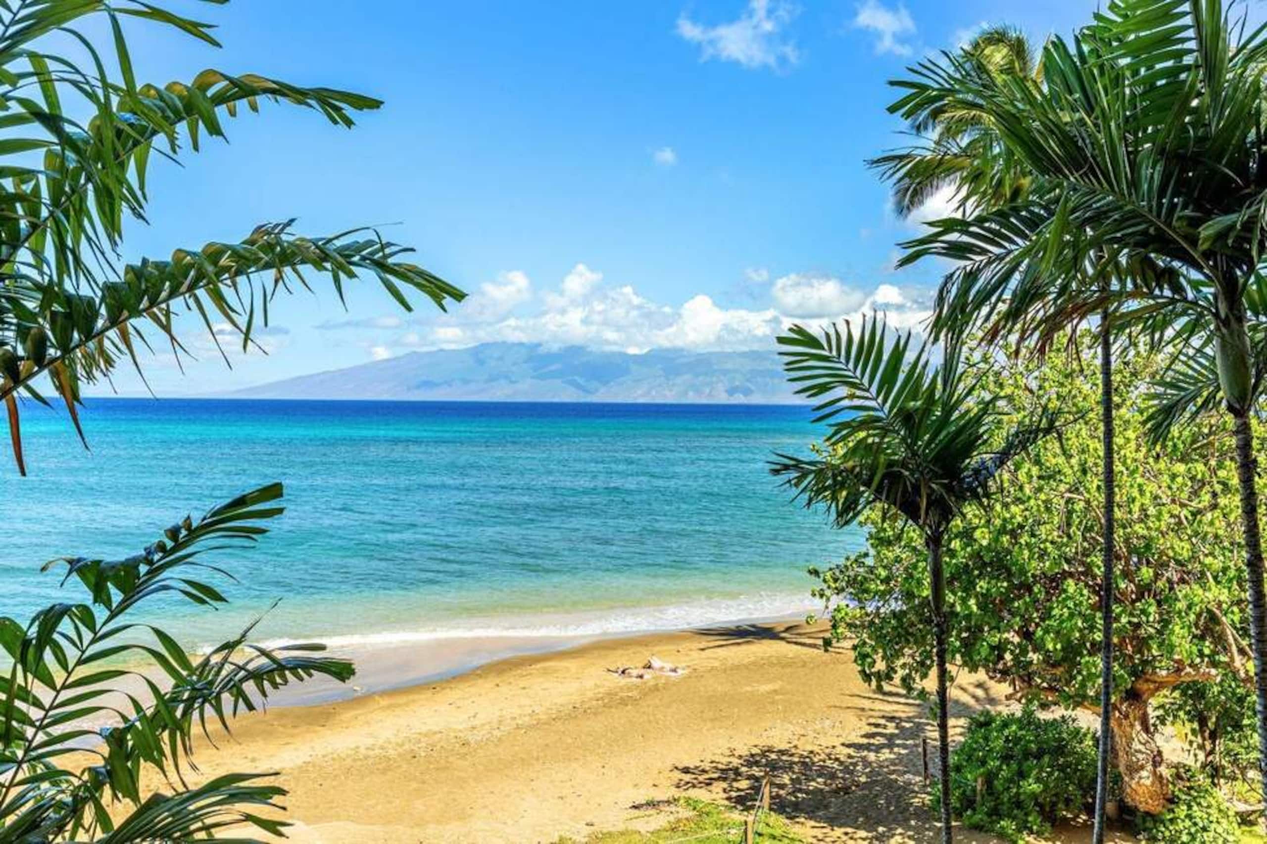 Condo in Lahaina · ★4.92 · 3 bedrooms · 6 beds · 3 baths - Image 70